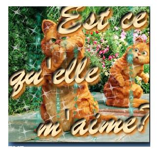 qu'aimes-tu